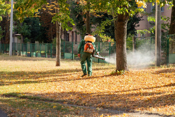 Best Flea Control Services  in Taylor, AL