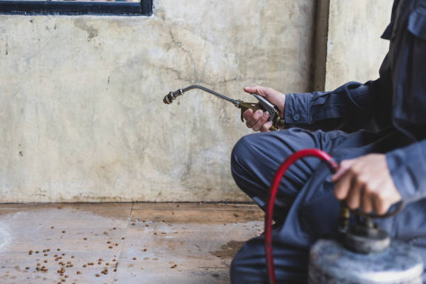 Professional Pest Control in Taylor, AL